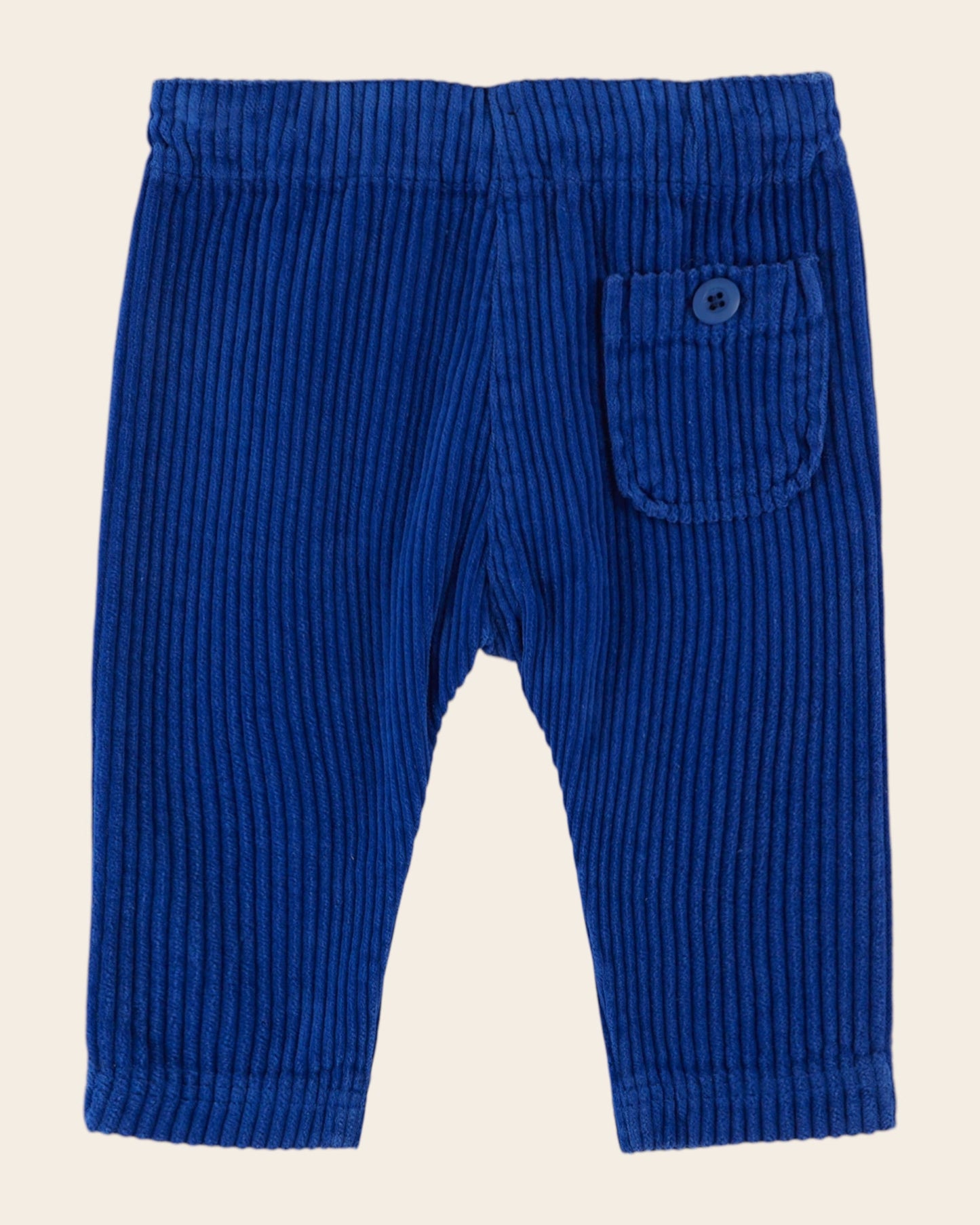 Pantalon - Velours bleu royal