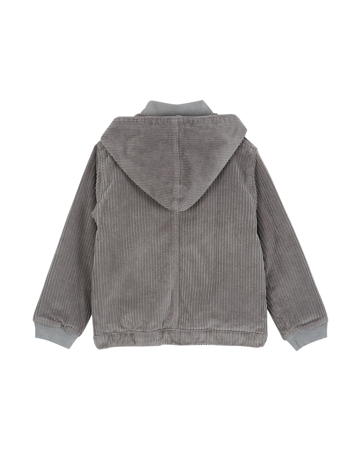Blouson velours souris