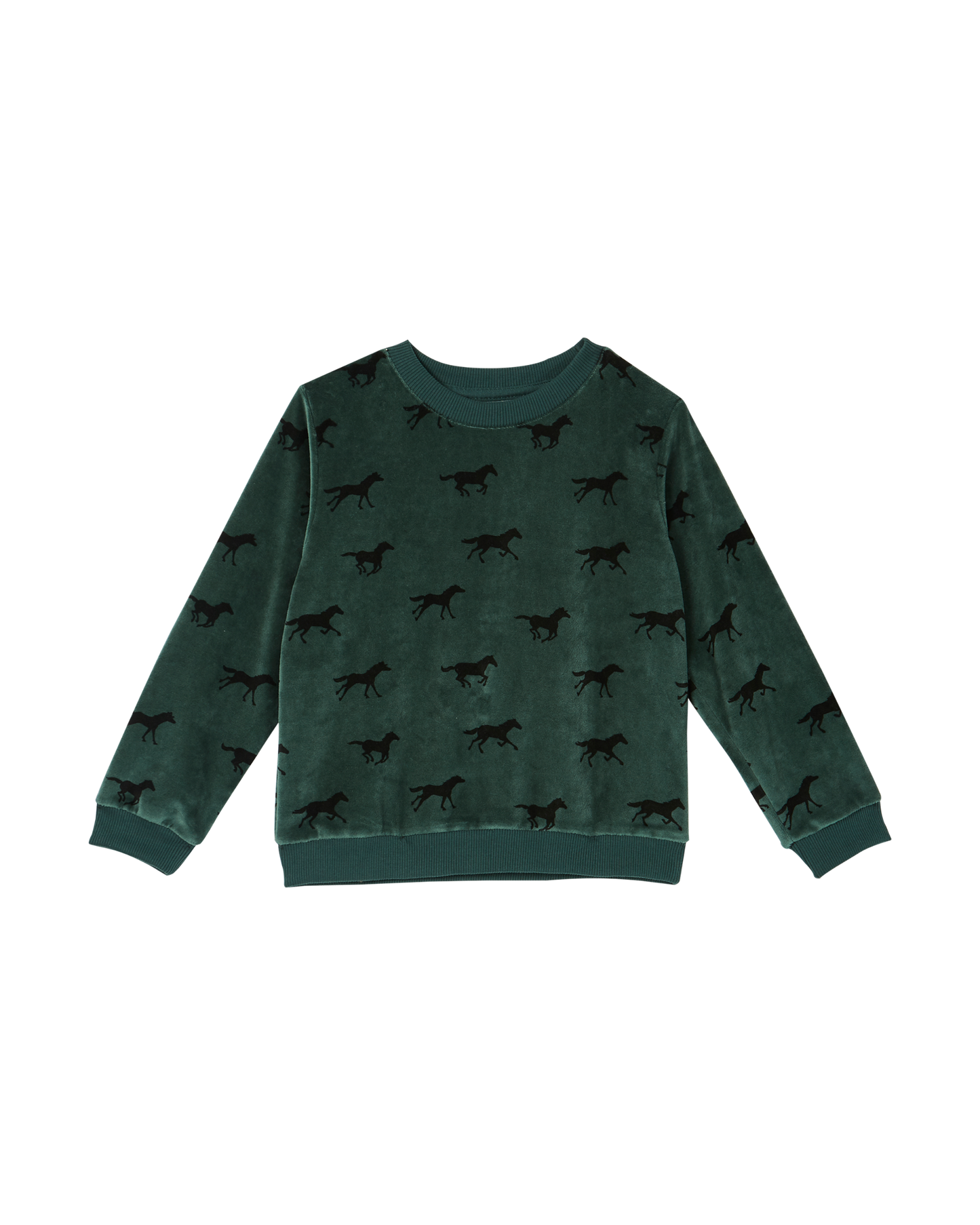Sweat éponge velours cheval cèdre