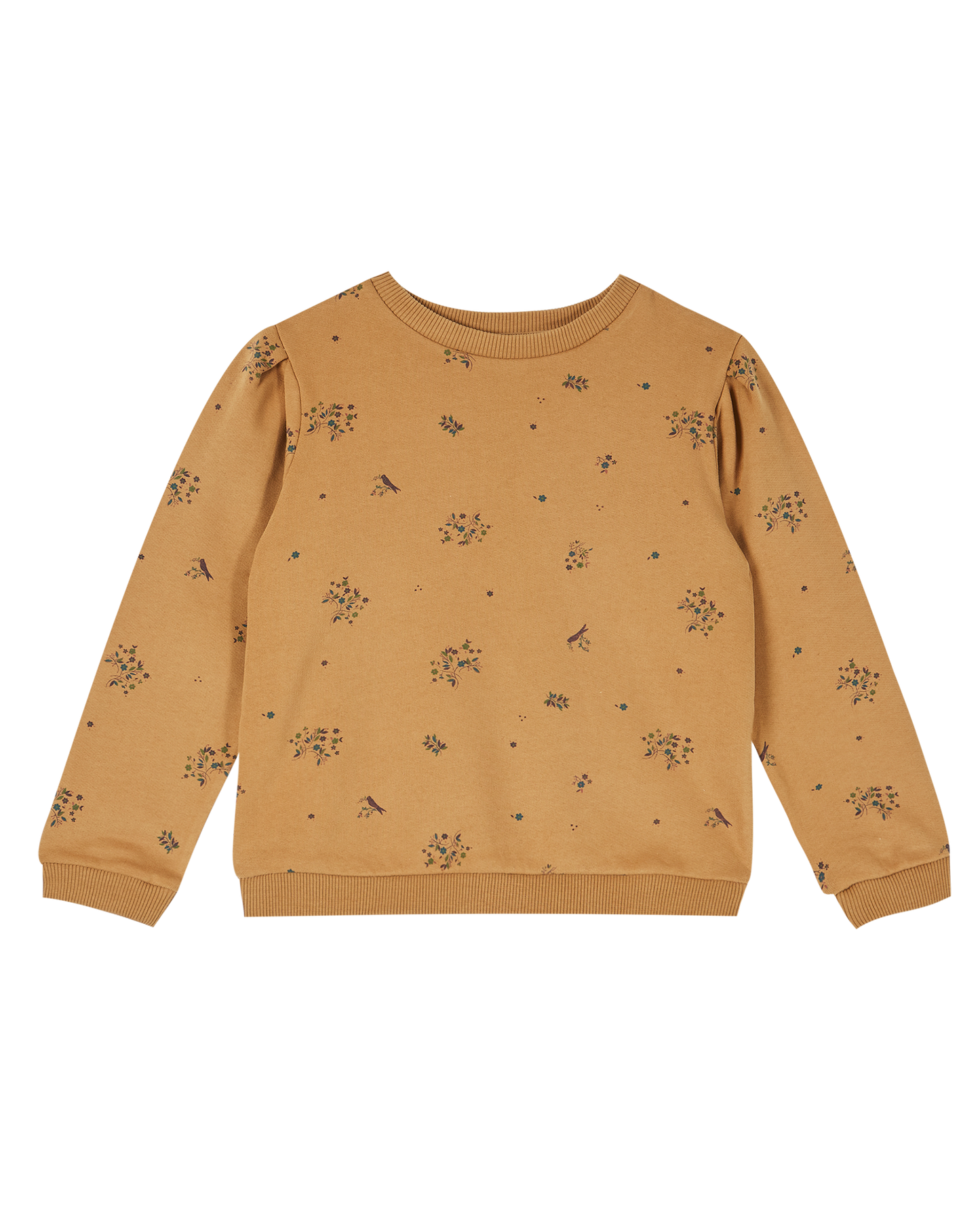 Sweatshirt jersey bio molletonné noix