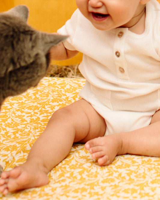 Combicourt coton bio écru