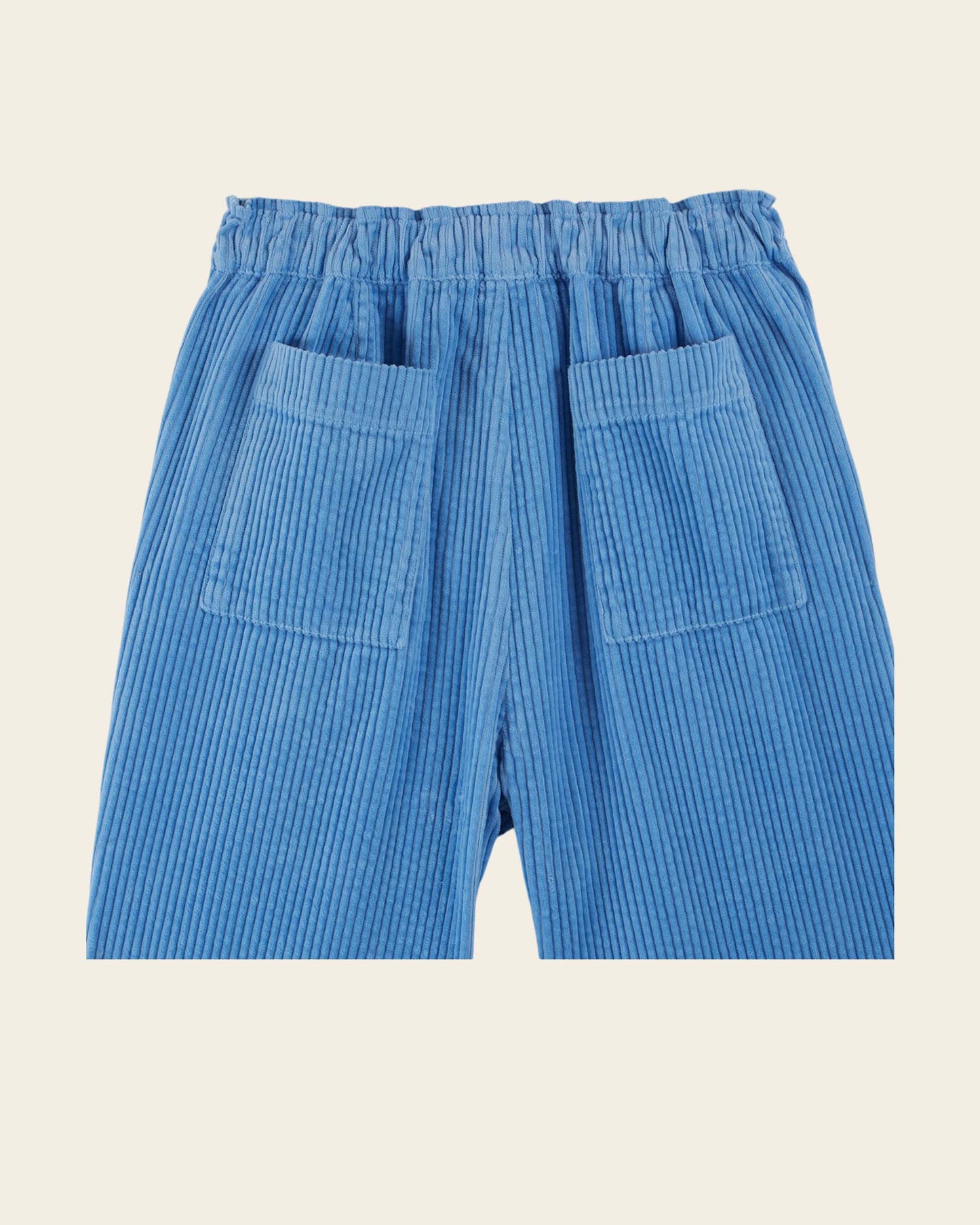 Pantalon velours cotelé bleu
