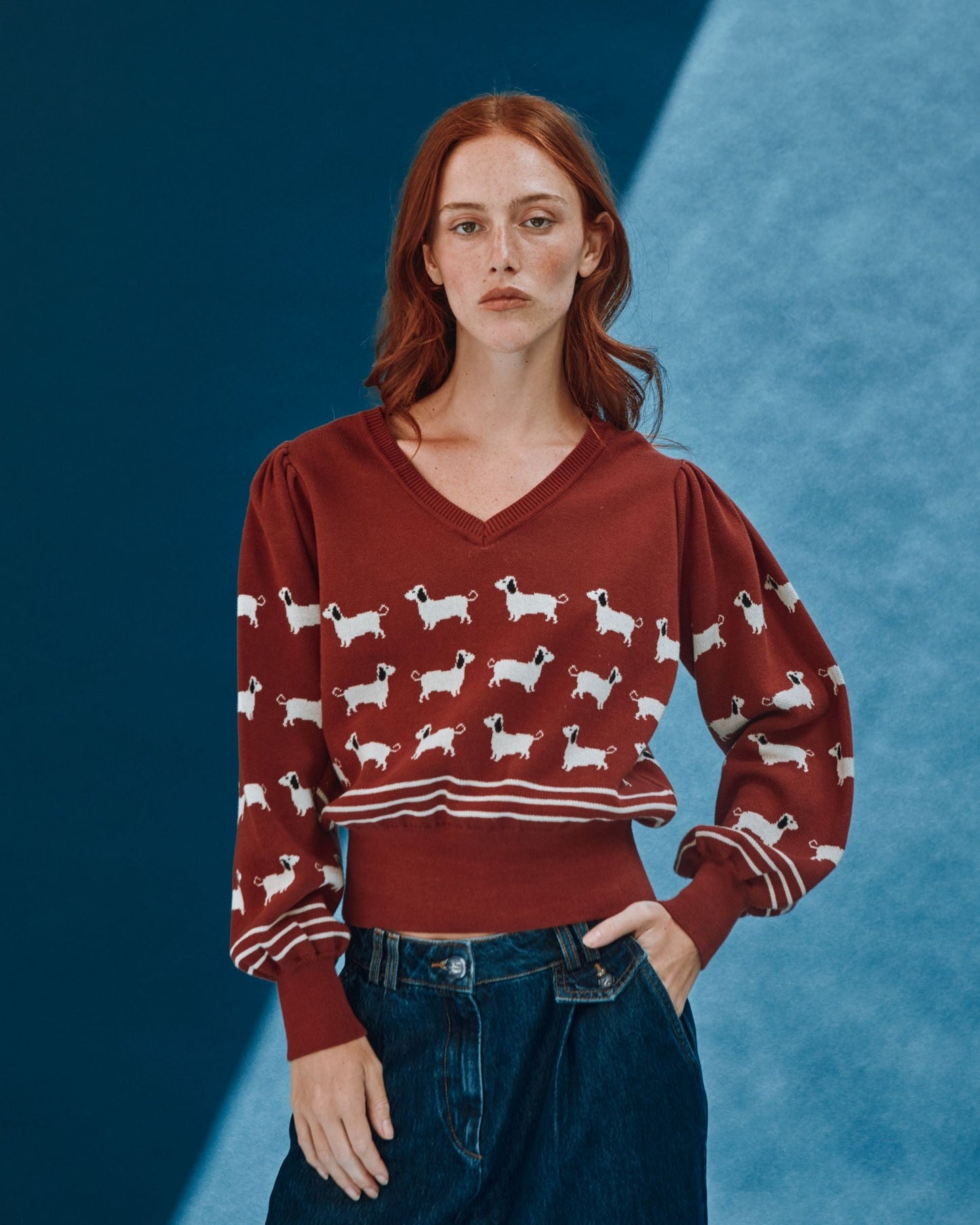Pull - Teckels coton bio brique