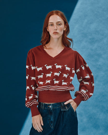 Pull - Teckels coton bio brique
