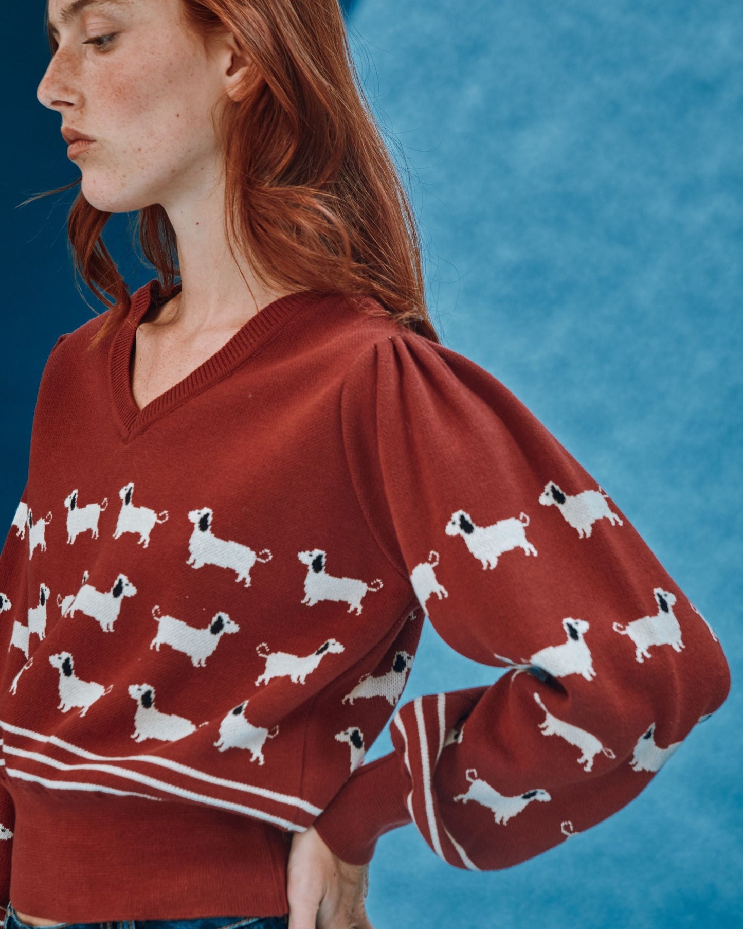 Pull - Teckels coton bio brique