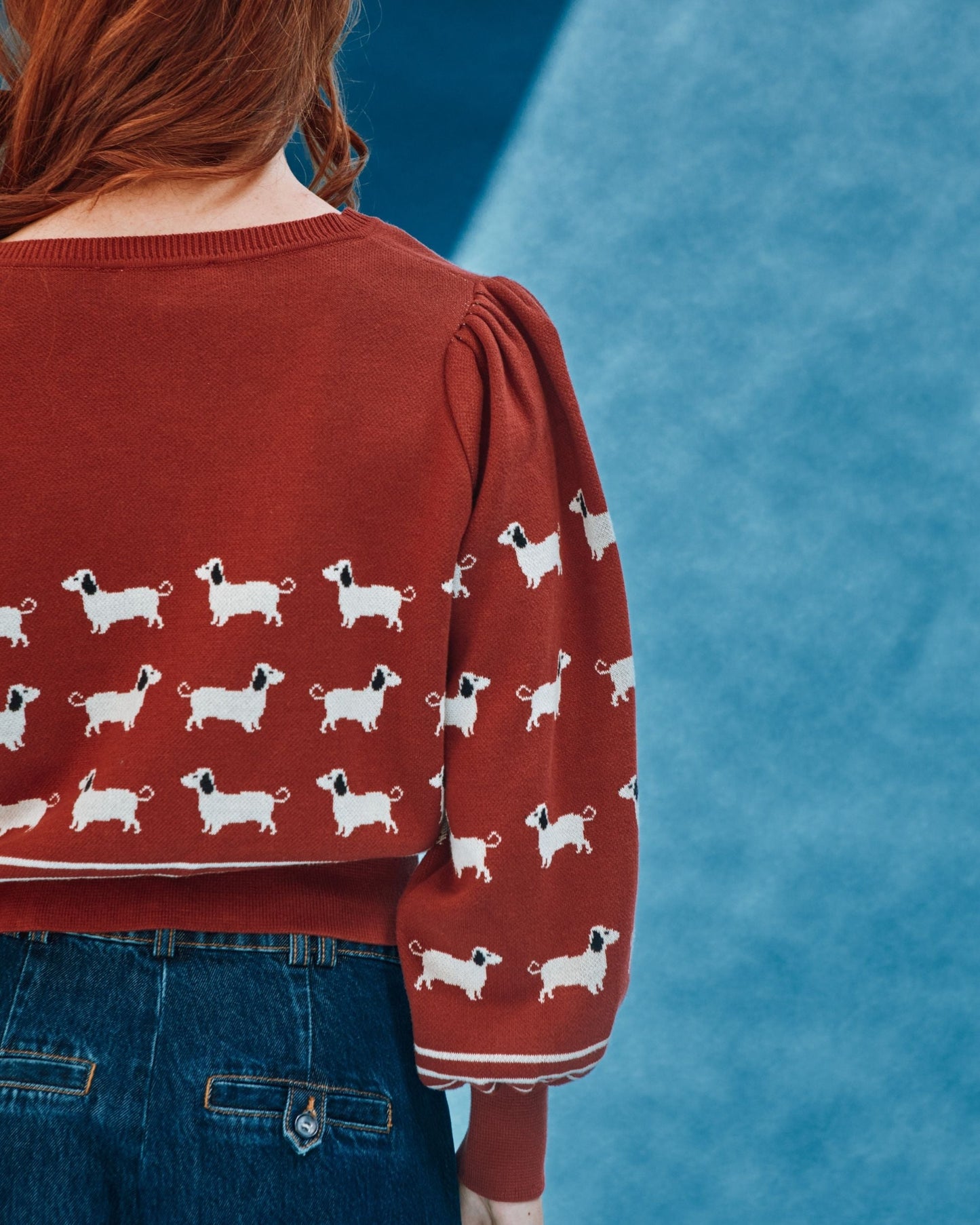 Pull - Teckels coton bio brique