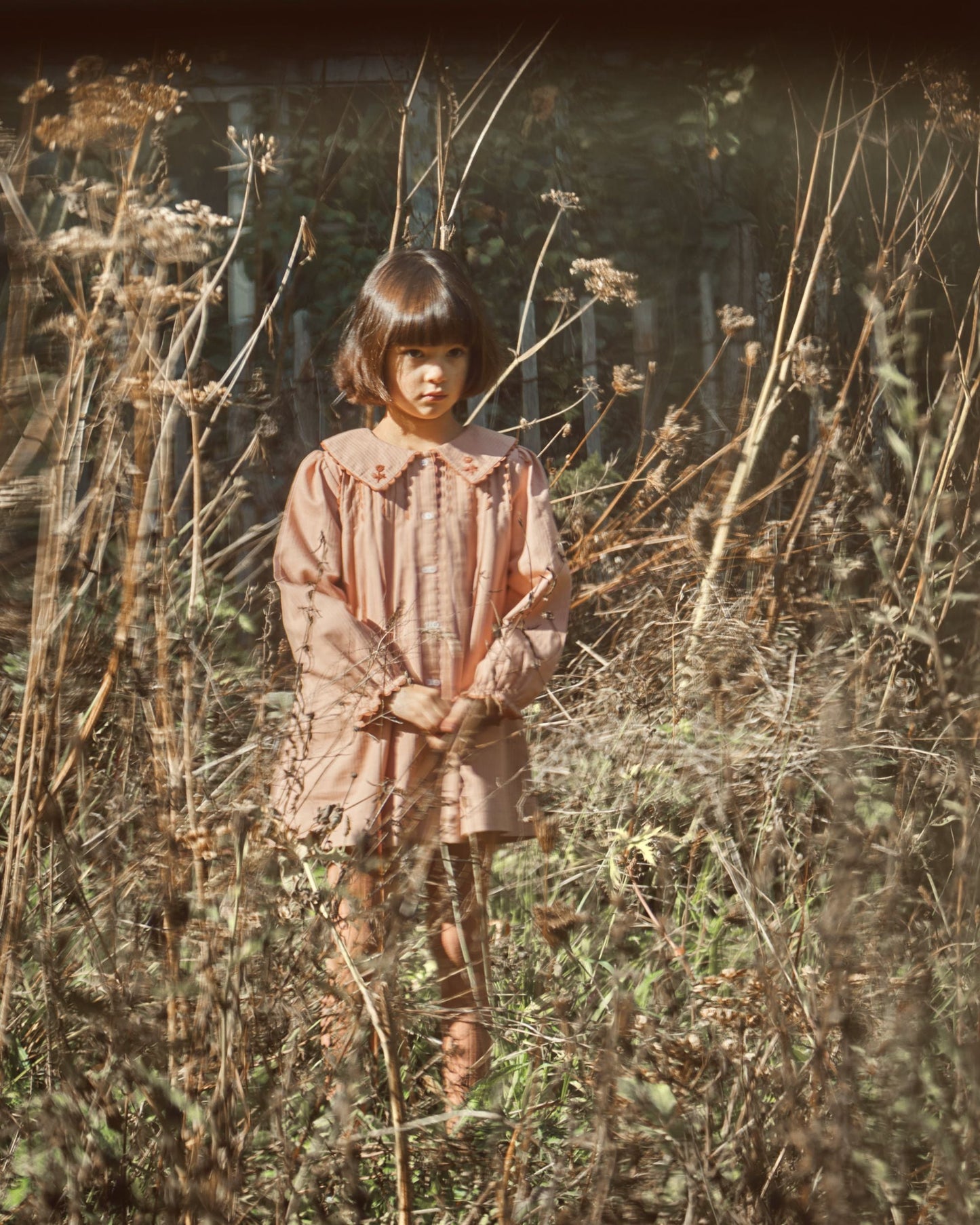 Robe vintage brodée poudre
