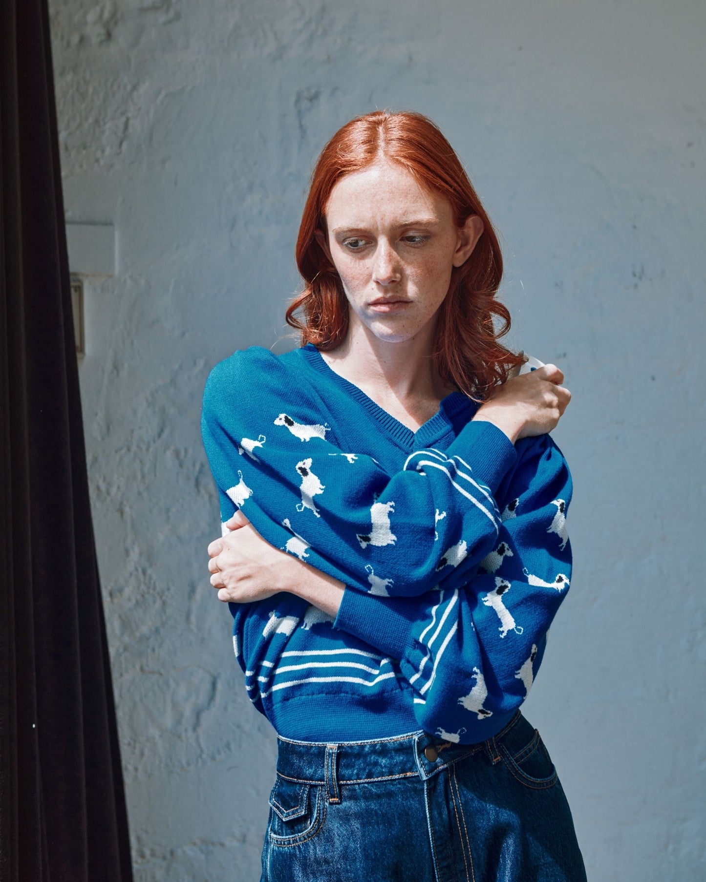 Pull - Teckels coton bio bleu royal