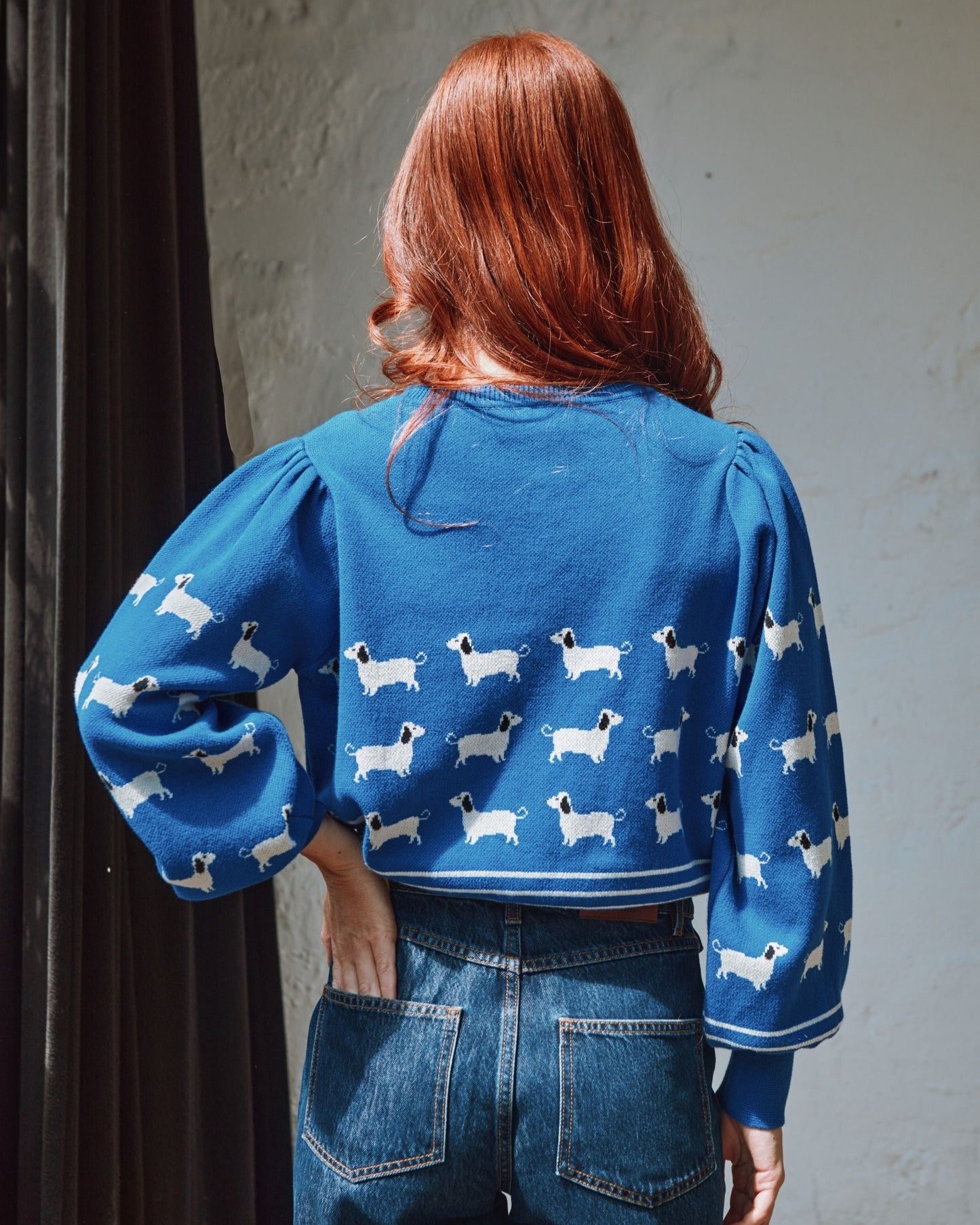 Pull - Teckels coton bio bleu royal