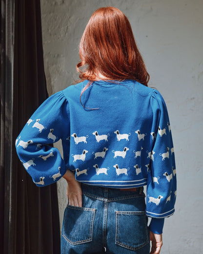 Pull - Teckels coton bio bleu royal