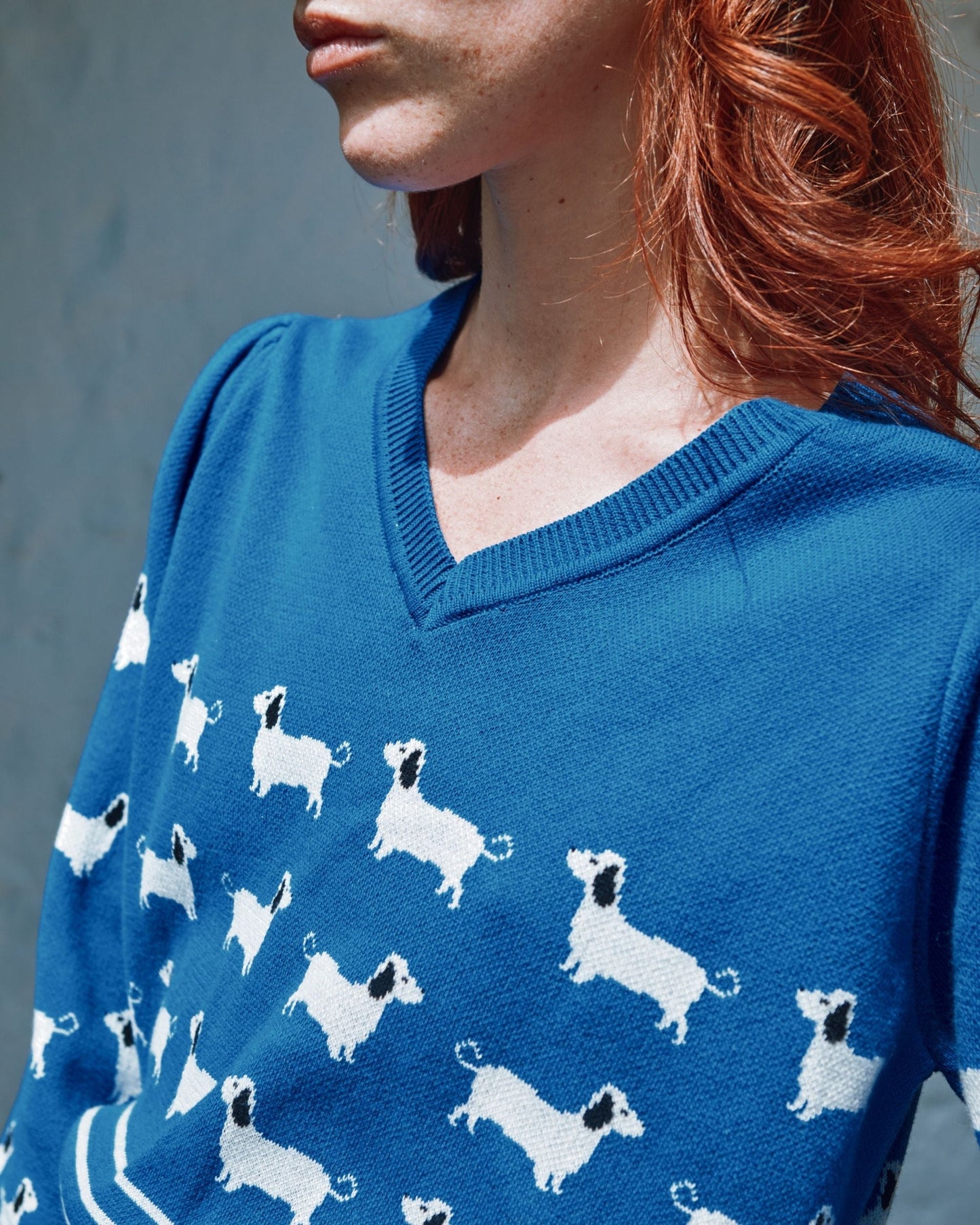 Pull - Teckels coton bio bleu royal