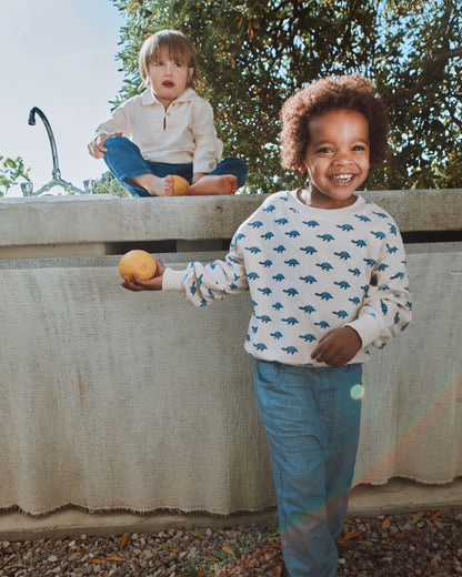 Pantalon coton et lin bleu clair