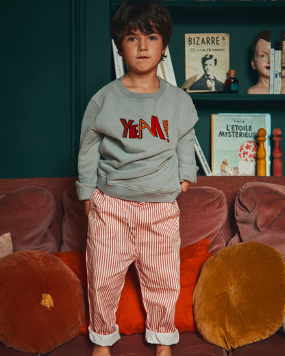 Sweat yeah coton bio pierre