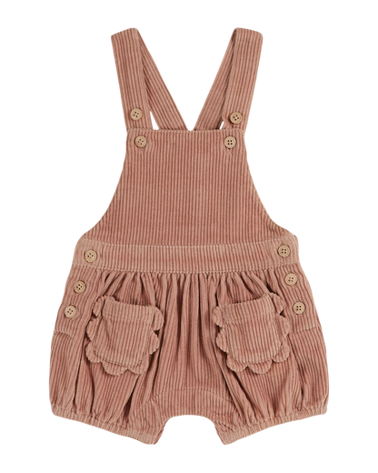 Salopette velours poudre