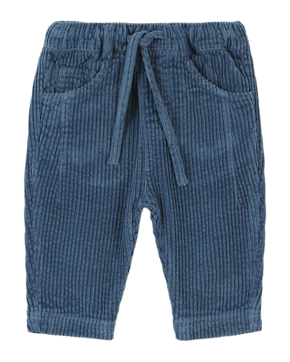 Pantalon velours bleu