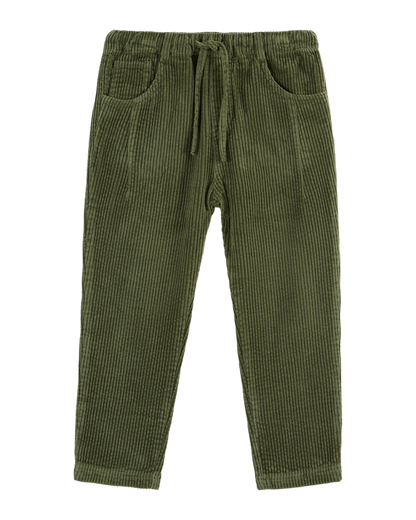 Pantalon velours forêt