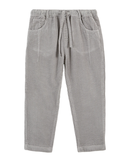 Pantalon velours gris
