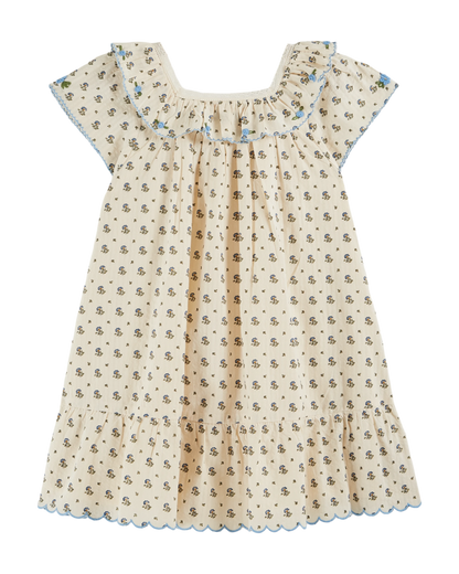 Robe vintage à fleurs iris