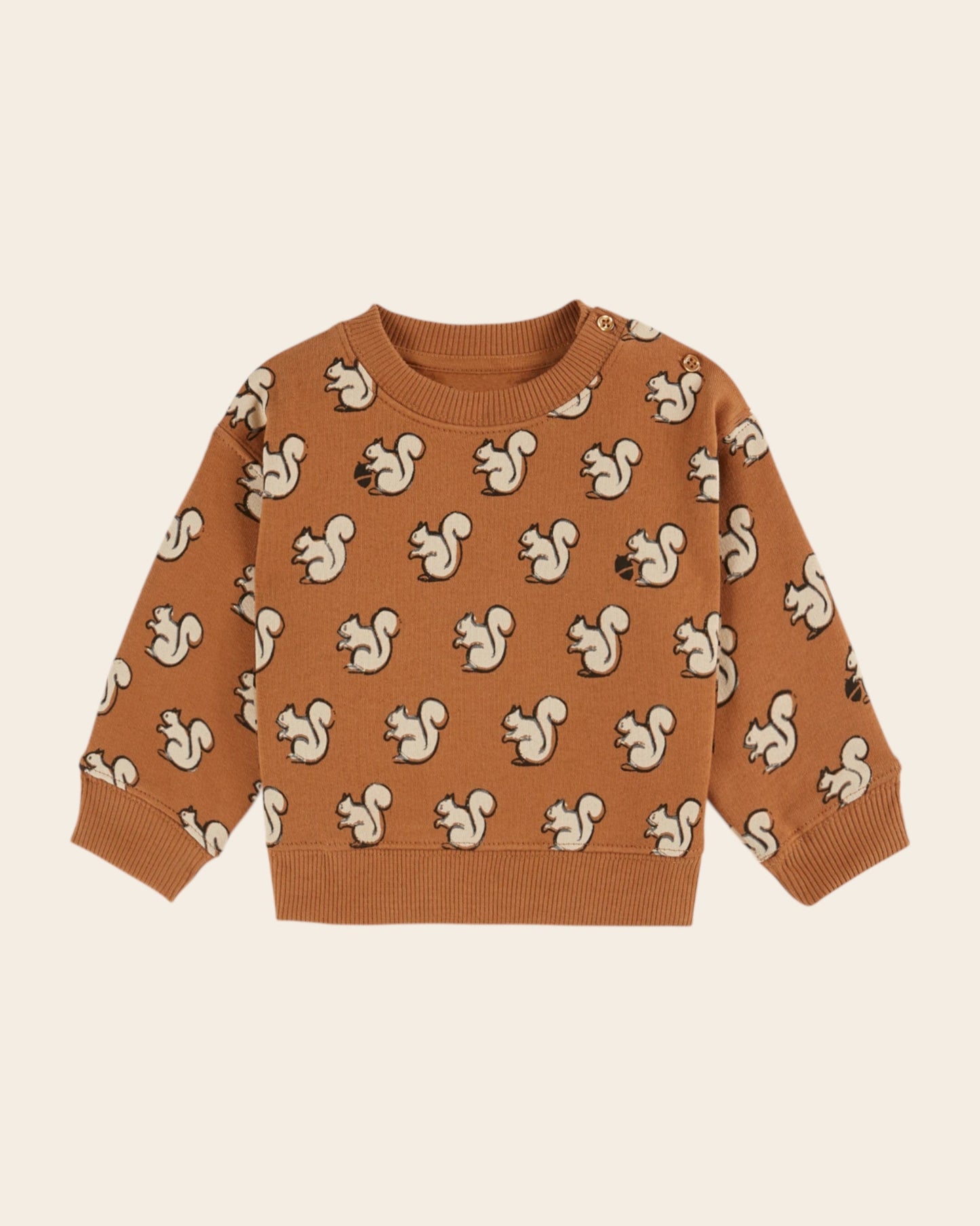 Sweat - Écureuils coton bio caramel