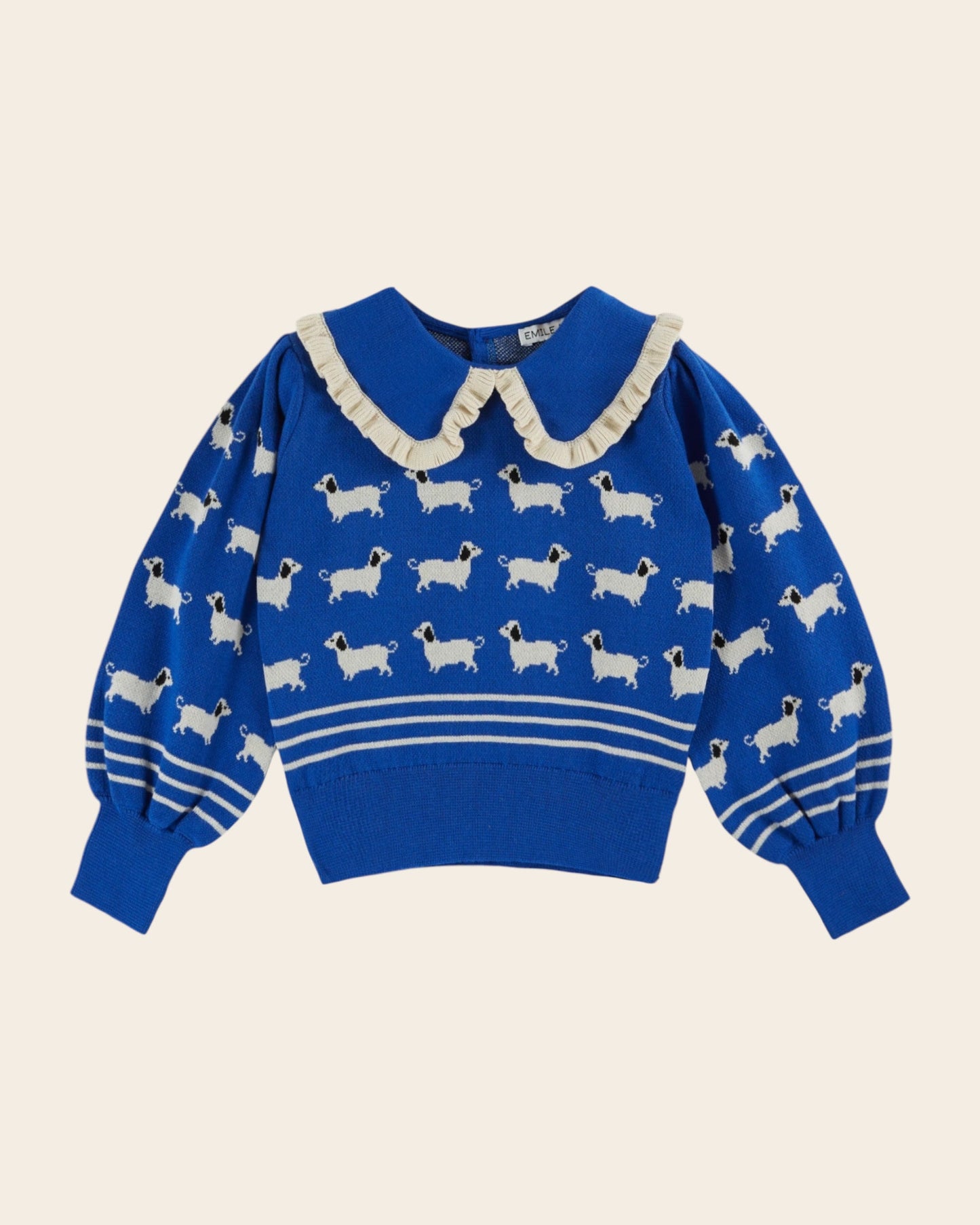 Pull fille - Teckels coton bio bleu royal