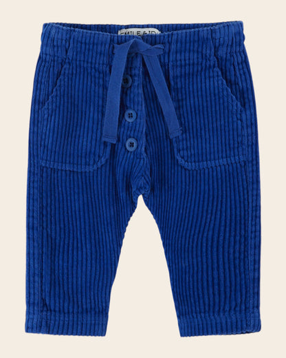 Pantalon - Velours bleu royal