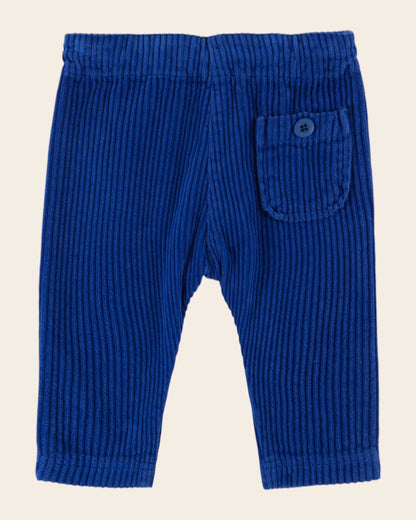 Pantalon - Velours bleu royal