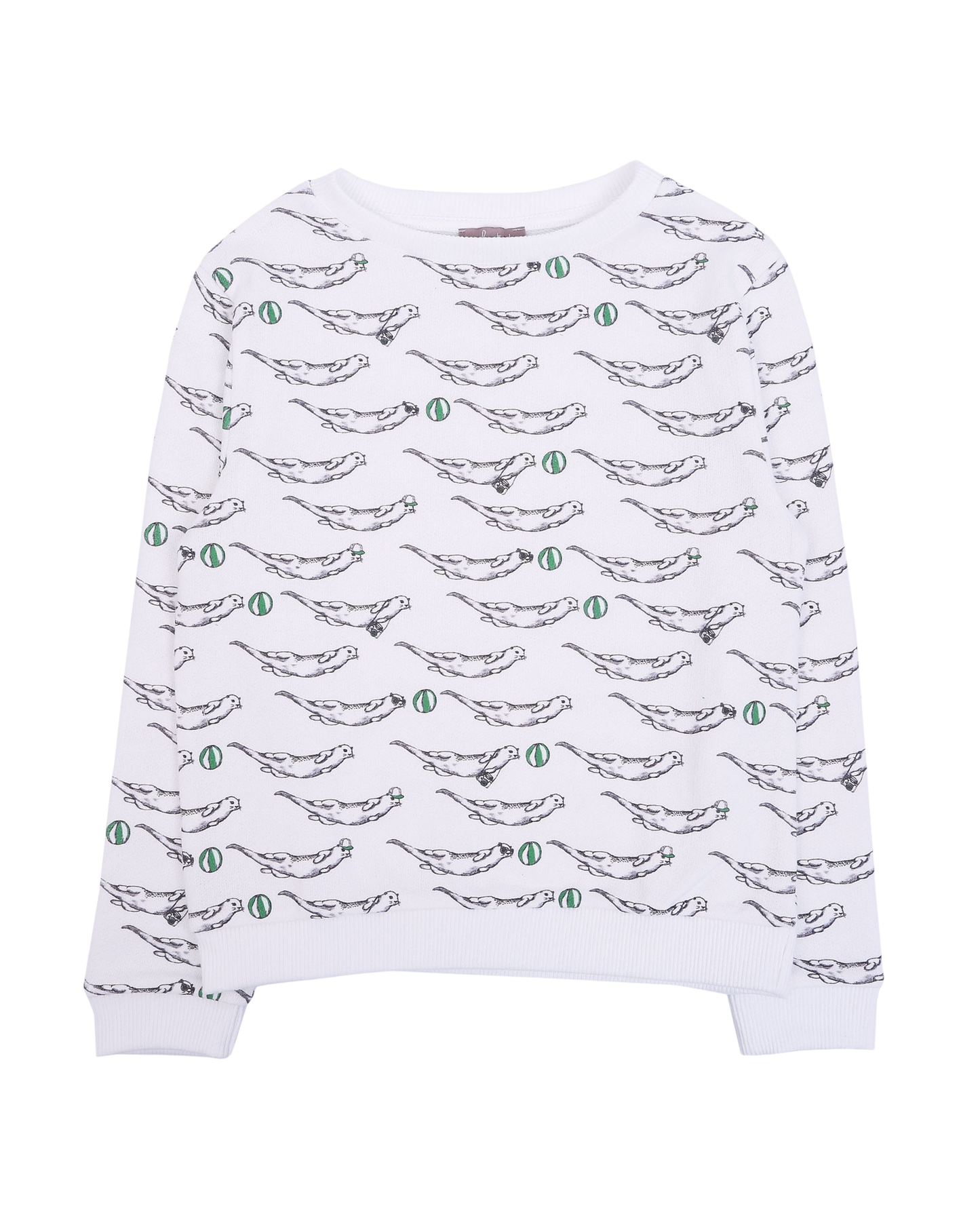 Sweat loutres craie