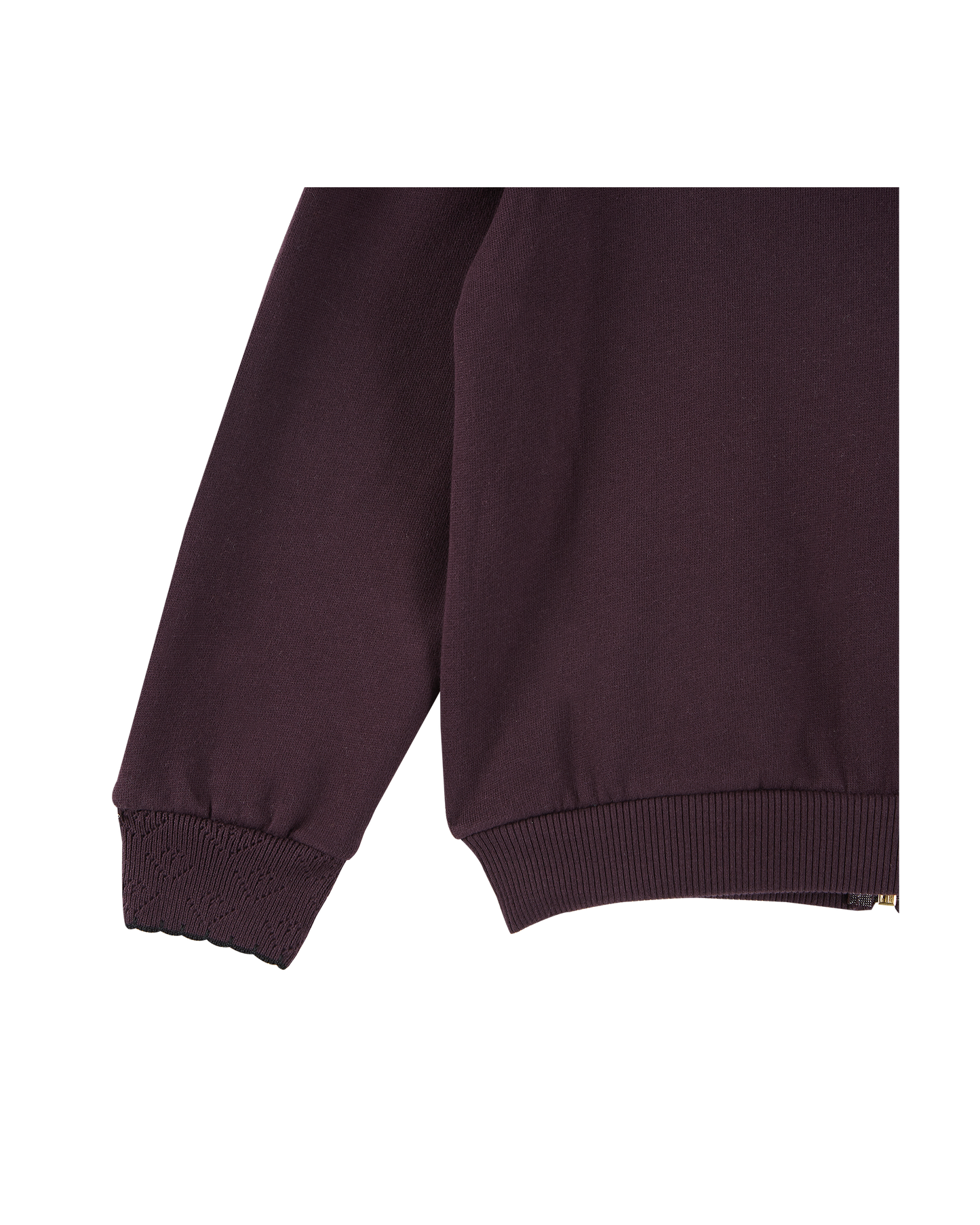 Sweatshirt jersey molletonné aubergine