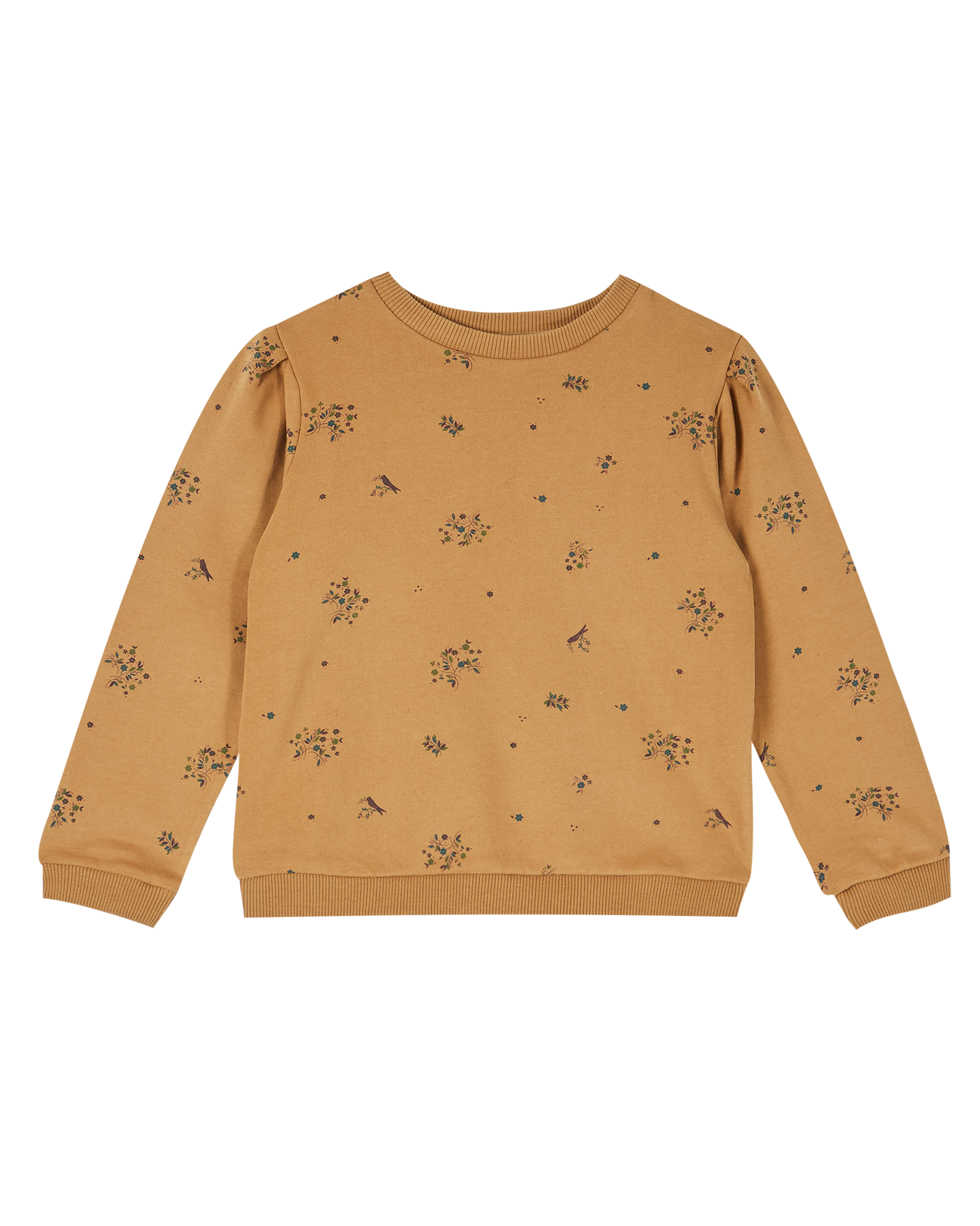 Sweatshirt jersey bio molletonné noix