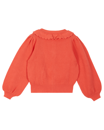Cardigan coton bio sushi