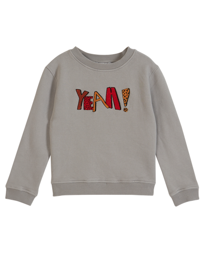 Sweat yeah coton bio pierre