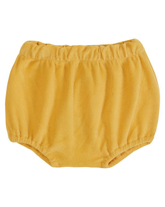 Bloomer uni éponge pollen