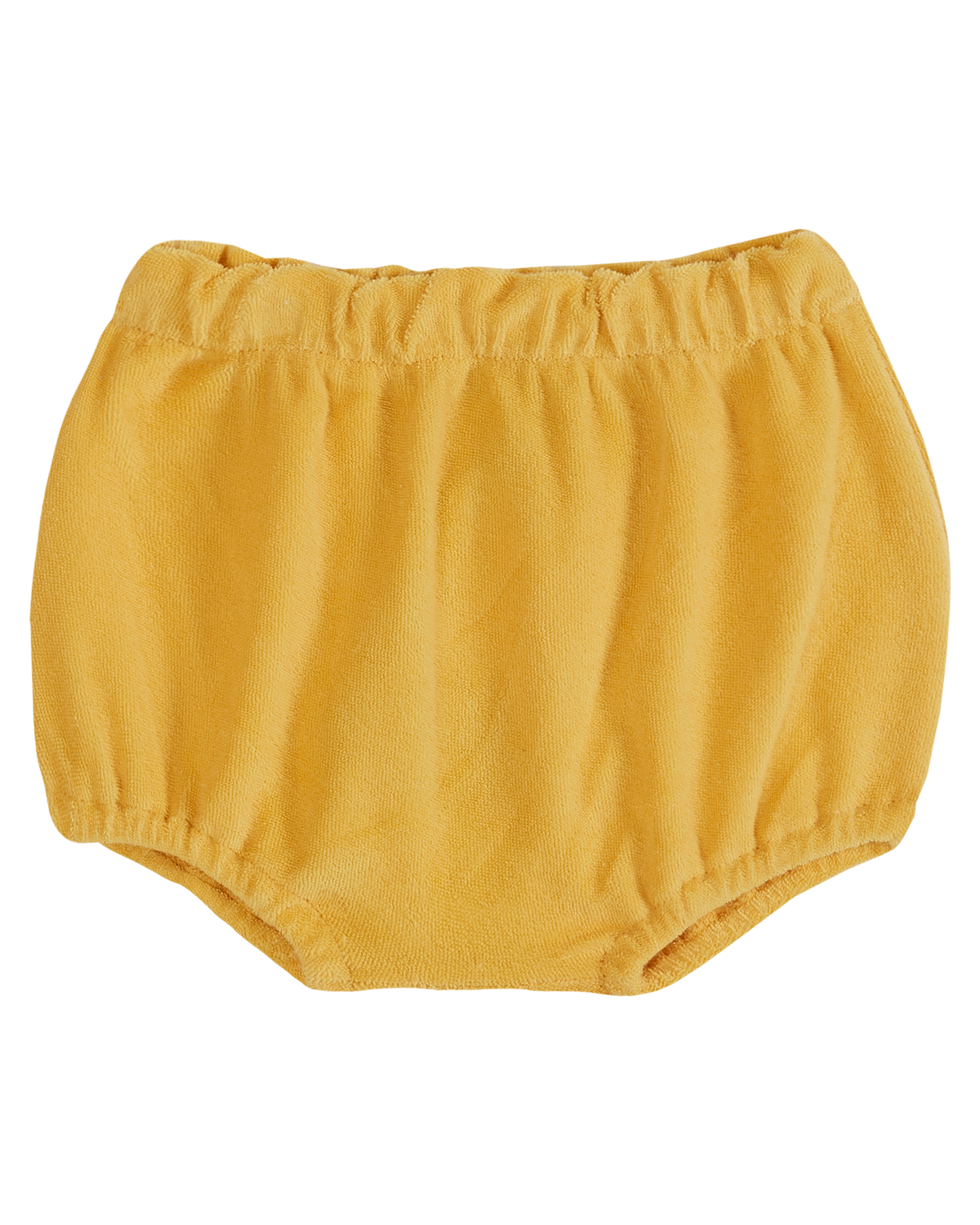Bloomer uni éponge pollen