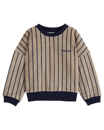 Sweat éponge rayure bleu marine