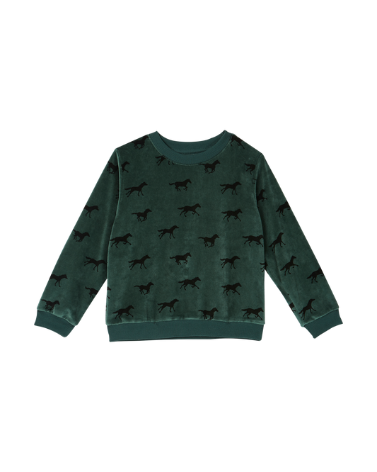 Sweat éponge velours cheval cèdre