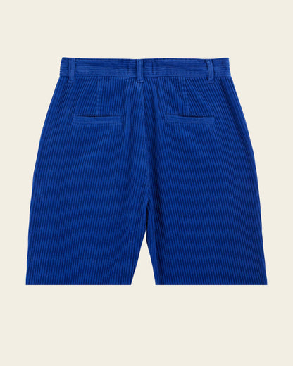 Pantalon - Velours cotelé bleu royal
