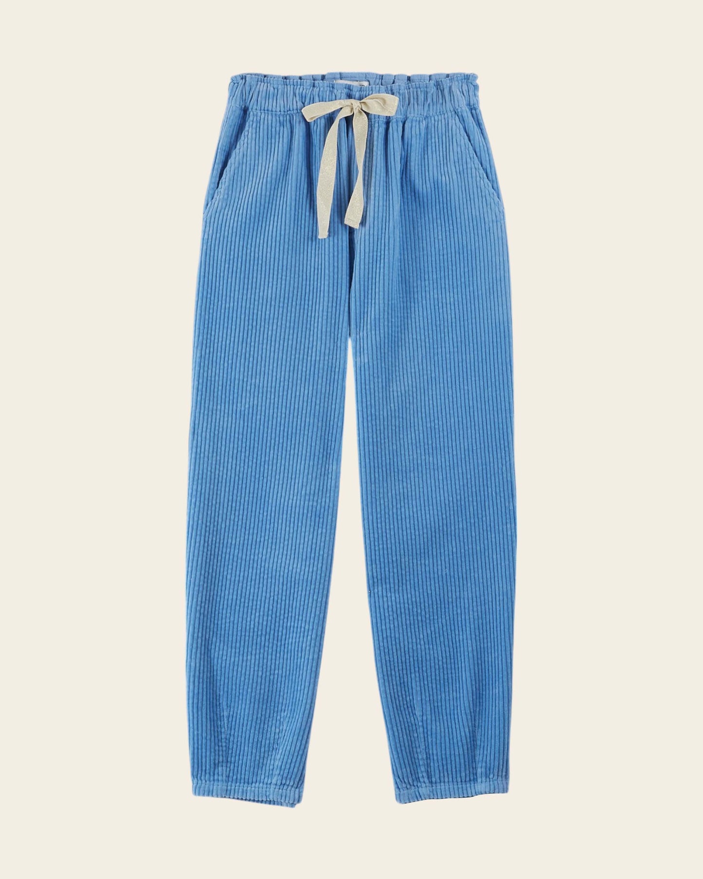 Pantalon velours cotelé bleu