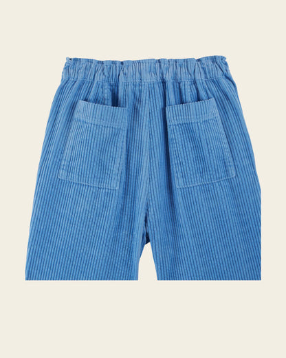 Pantalon velours cotelé bleu